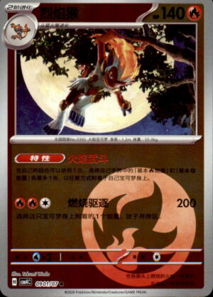 Pokemon Gem Pack Volume 4 Infernape 09 01/07 Chinese NM